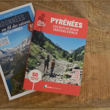 Апартаменты «coeur De Vie » Hyper Centre De De Bigorre *