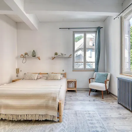 «coeur De Vie » Hyper Centre De De Bigorre Апартаменты *