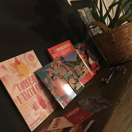 «coeur De Vie » Hyper Centre De De Bigorre דירה בנרס-דה-ביגור