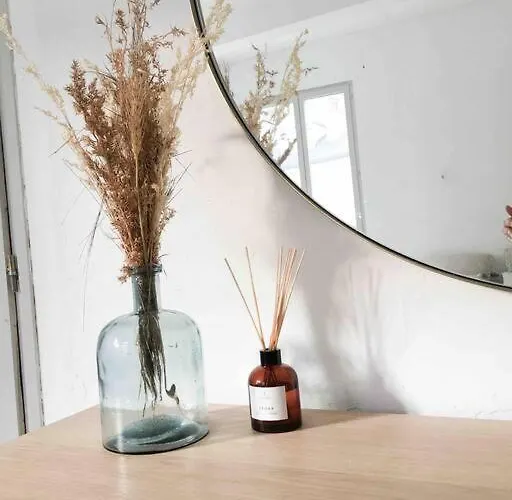 «coeur De Vie » Hyper Centre De De Bigorre * バニエール・ド・ビゴール