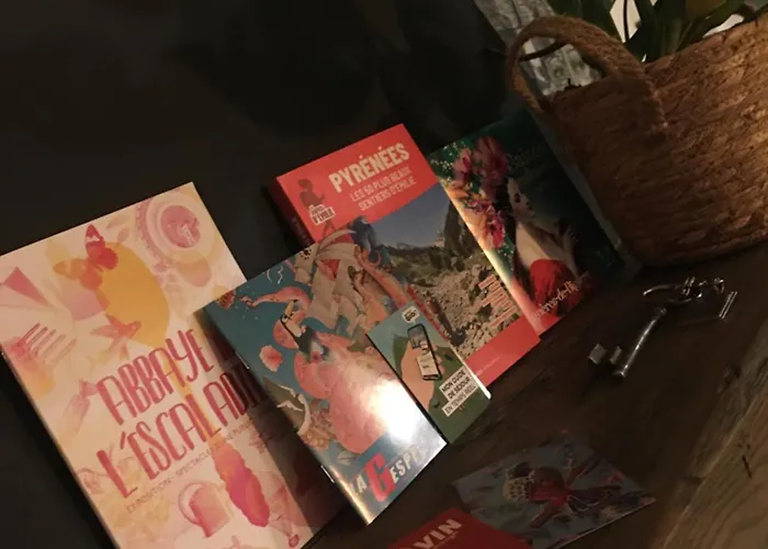 «coeur De Vie » Hyper Centre De De Bigorre アパート バニエール・ド・ビゴール